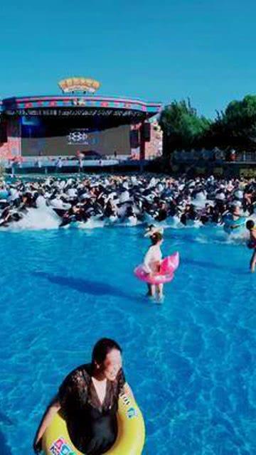 为什么周也被称为“地表最强资源花”?- 专业问答网站